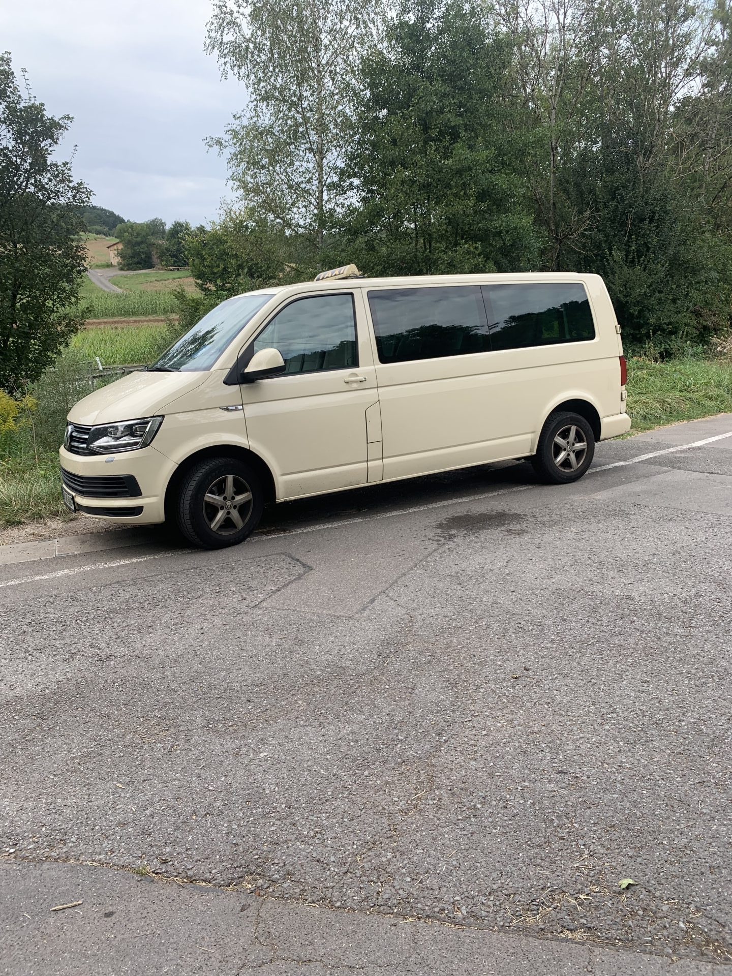 Ein beige Van am Straßenrand